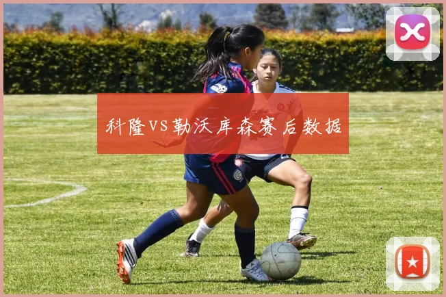 科隆vs勒沃库森赛后数据
